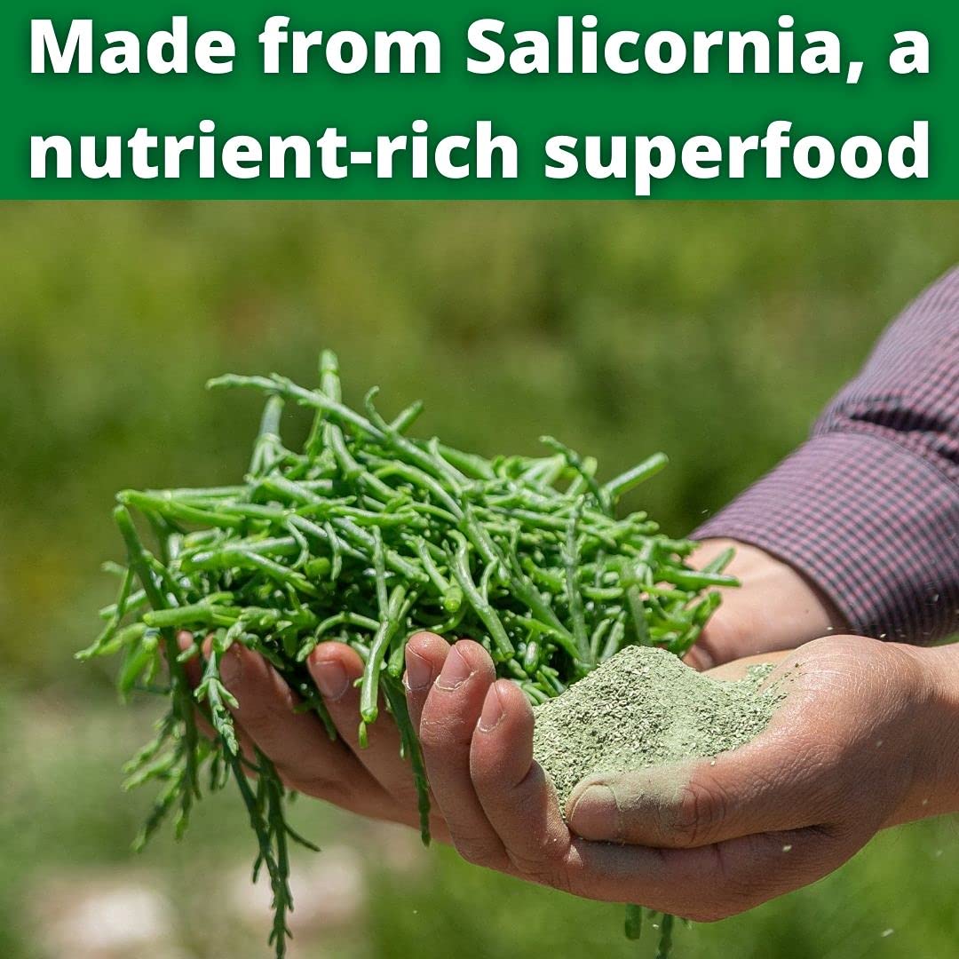 Green Salt - The Healthy Salt Alternative (9oz) - Low Sodium Salt Substitute - Salty + Umami : Grocery & Gourmet Food