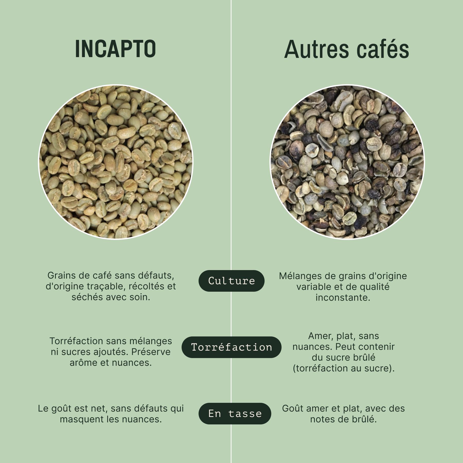 Incapto Café en Grain de Spécialité 1kg | Origine Colombie | 100% Arabica | Café de Spécialité 84 points SCA | Torréfaction Naturelle et Artisanale | Ferme Huila, Cadefihuila