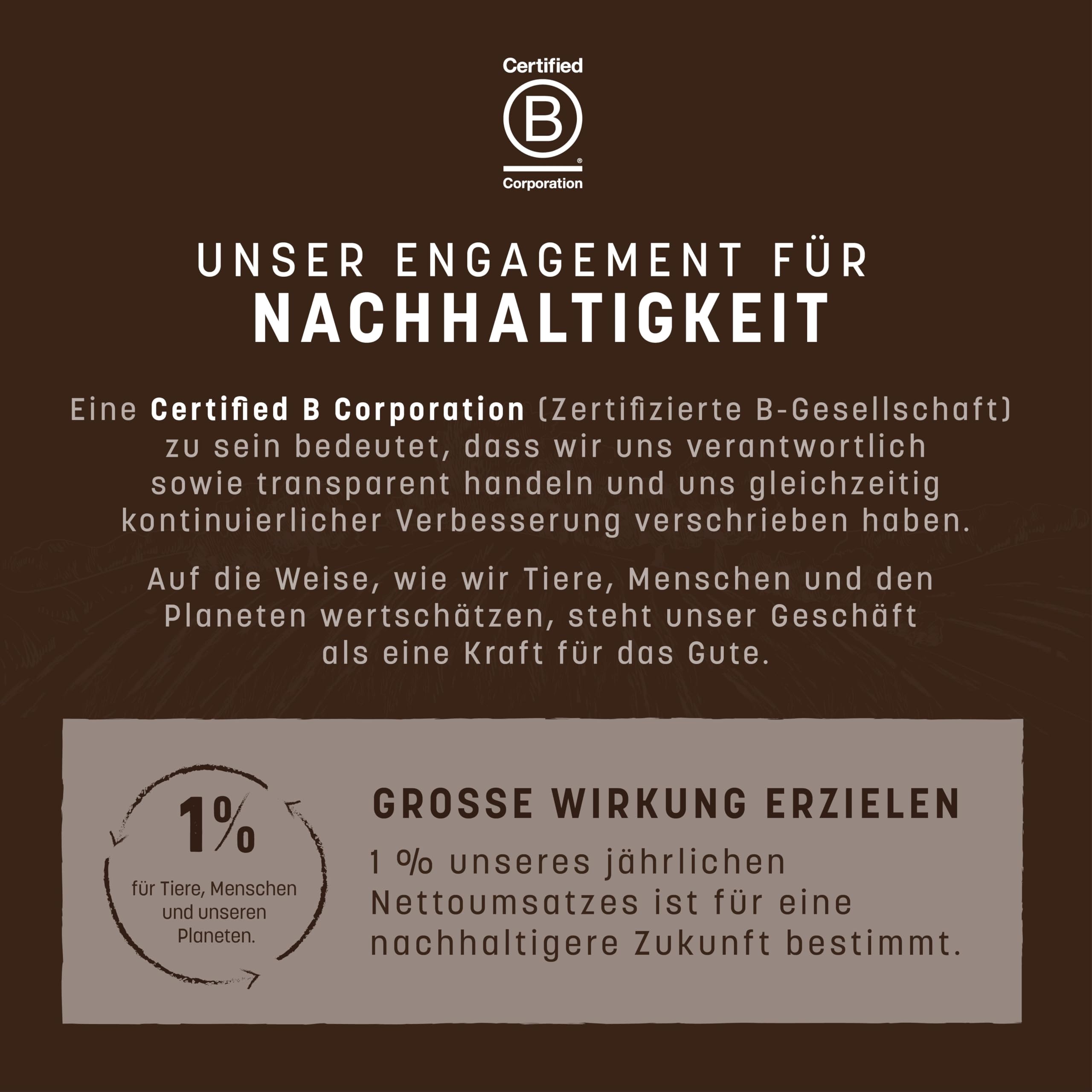 Earth Animal No Hide Small Leckerli mit Rindfleischgeschmack, natürlich, ohne Rohhaut; Langlebige Leckerli für Hunde – Leckerli für Hunde Kleiner Rassen (2 Kausnacks für Hunde)