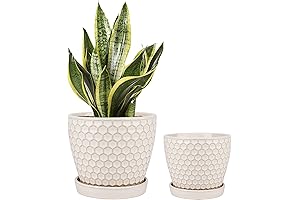 Elegant Ceramic Round Plant Pots for Indoor Greenery