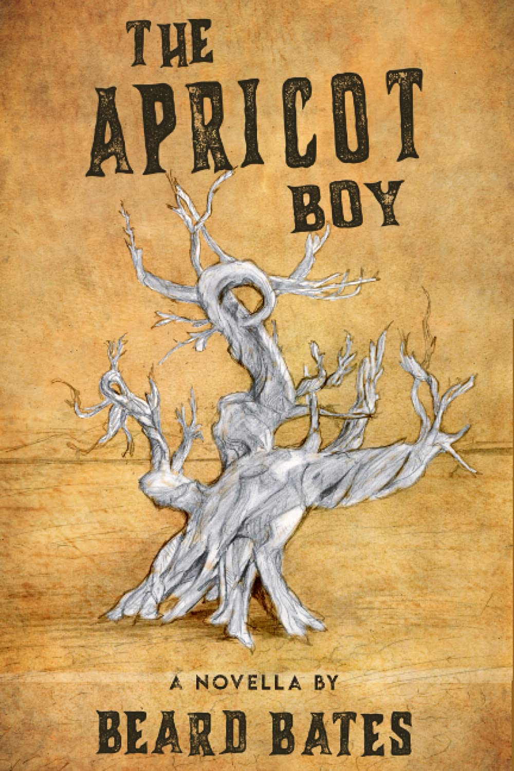 The Apricot Boy: A Novella