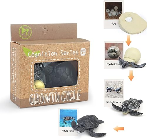 Montessori - Figuras de animales de ciclo de vida con tarjetas flash, figuras de animales realistas, juego educativo de animales a juego para niños