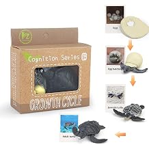 Montessori Life Cycle Animal Figures with Flash Cards, Realistic Animal Figurines Toy, Educational Matching Game for 3+ Year Old Kids Turtle