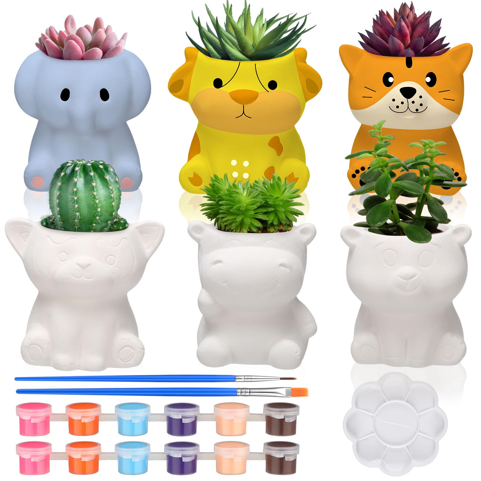 Amazon.com: Beeveer 6 Sets Spring DIY Ceramic Succulent Pots Paint Your ...