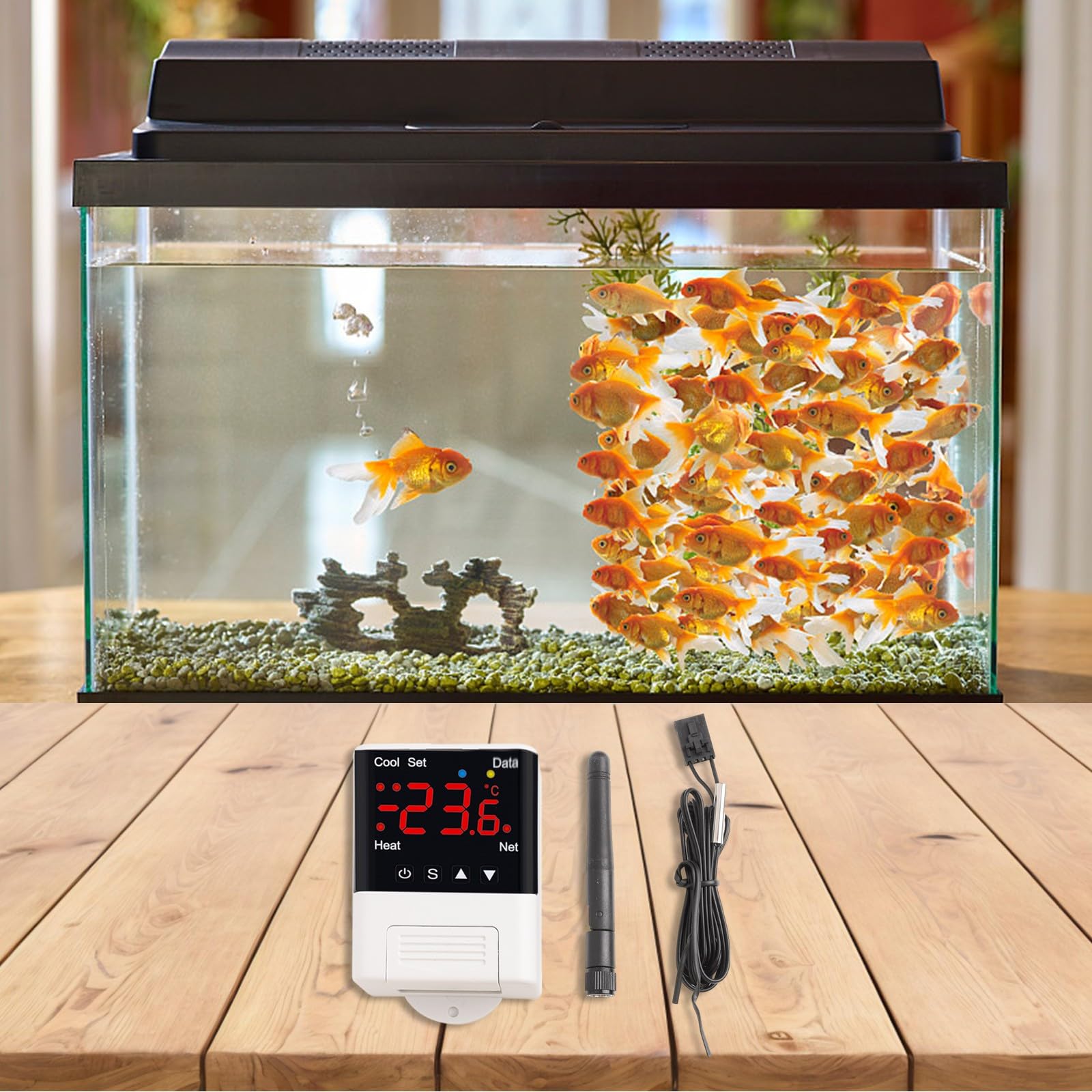 Whychstore Thermostat numérique pour aquarium et incubateur - 110 V-230 V AC 10 A - Chauffage et refroidissement - Télécommande par smartphone