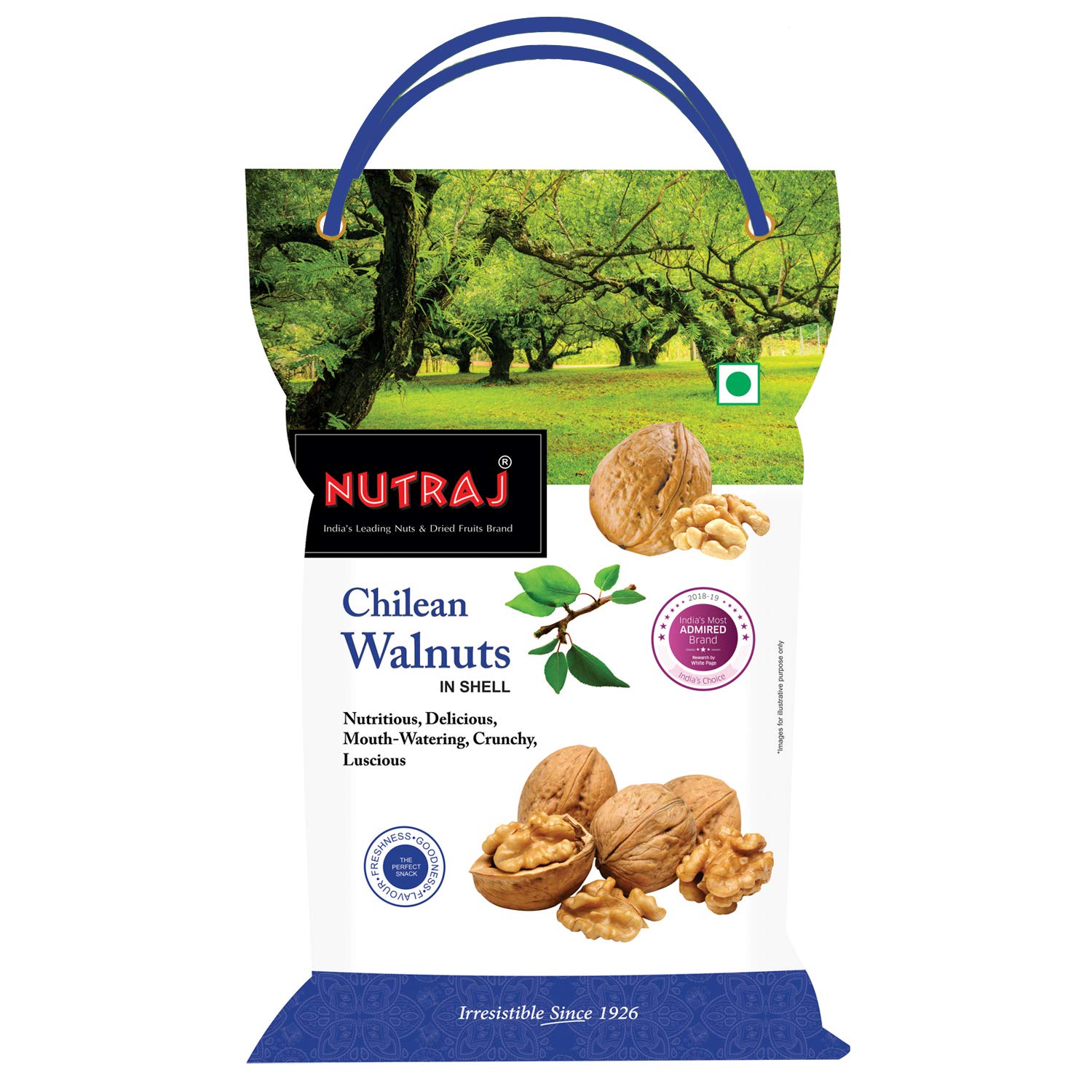 Nutraj Chilean Inshell Walnut (Inshell Walnut 500g) Amazon.in