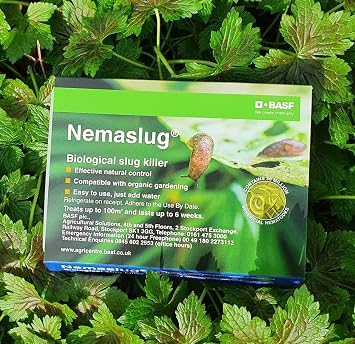 Nemaslug Slug Killer large pack 100sm