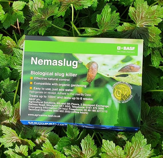 Nemaslug Slug Killer large pack 100sm