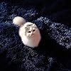 Product Photo 7