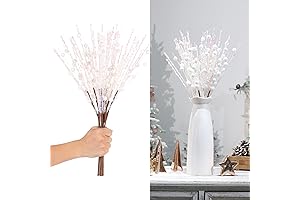 SY Super Bang 10 Pack: The Ultimate Christmas Classroom Decor for Festive Cheer