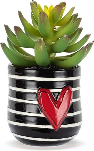 Vista 15 de DEMDACO Heartful Home by Tracy Pesche Collection Mini suculentas falsas corazones rojos lunares negros 2 x 1.5 gres decorativo para decoración