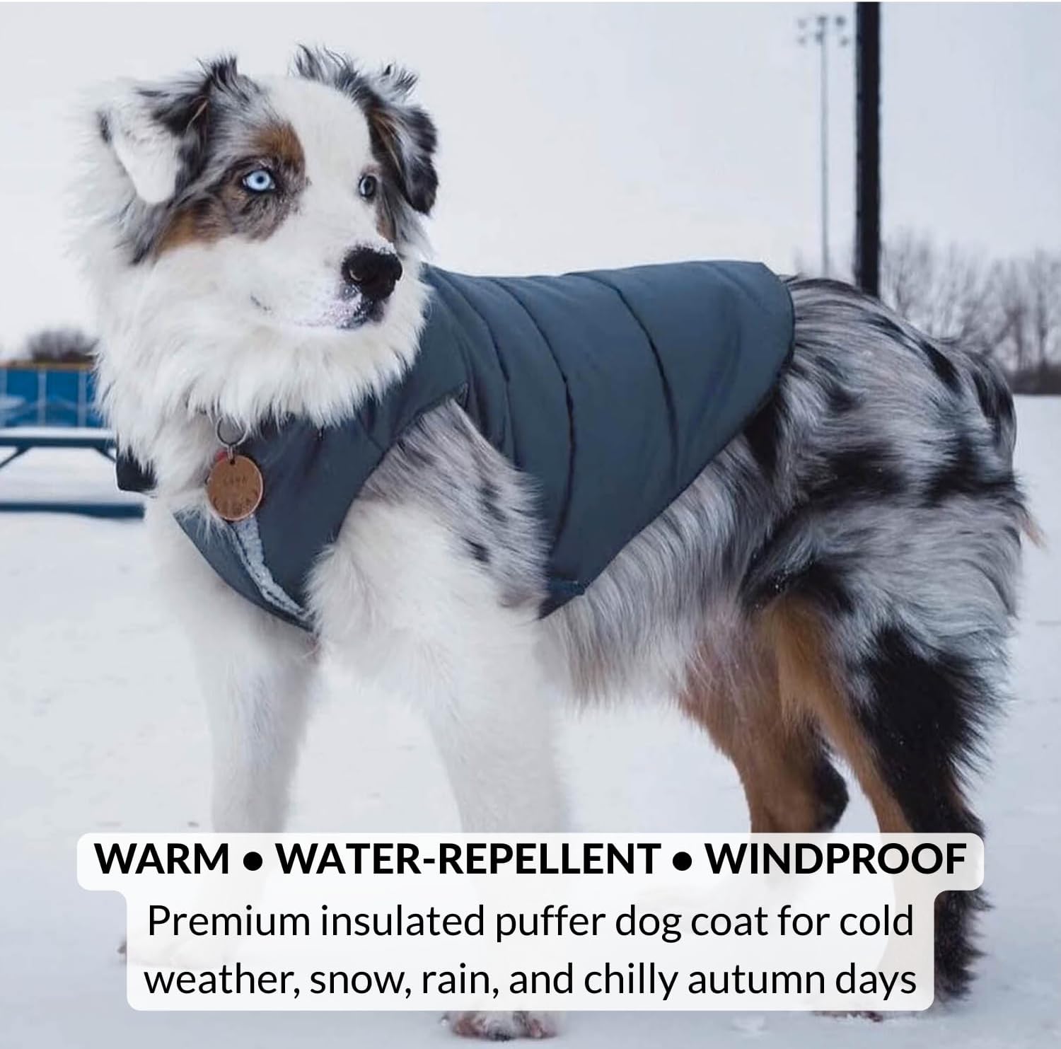 DJANGO Reversible Puffer Dog Coat – Warm Winter Dog Jacket & Water-Repellent Insulated Dog Coat w/Harness Hole, Windproof, Adjustable Fit for Small & Medium Dogs, Dachshunds – Twilight Blue, Medium