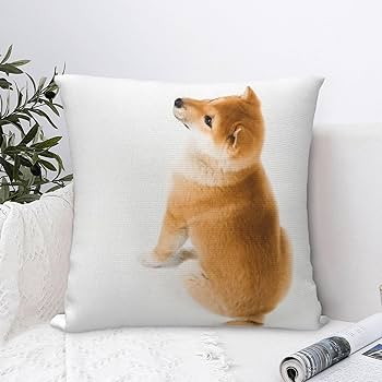 71VBAS9RzEL._AC_UF350,