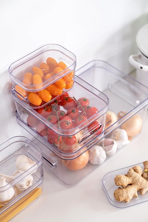 SmartStore Compact Clear Modular Storage Bin Container for Kitchen, XS