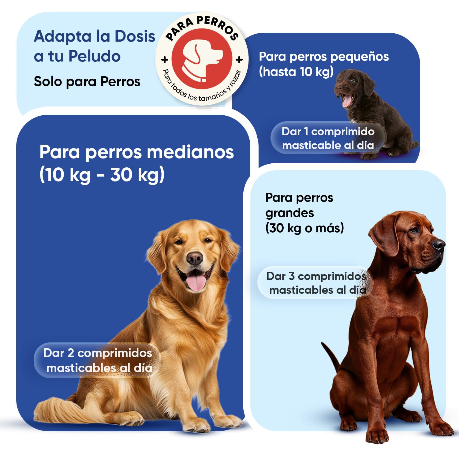 Multivitaminas y Minerales para Perros - 120 Masticables, 18 Vitaminas y Minerales para Apoyo Inmunológico, Piel, Pelo y Articulaciones - Ideal para Todas las Razas y Tamaños, Mayores y Cachorros