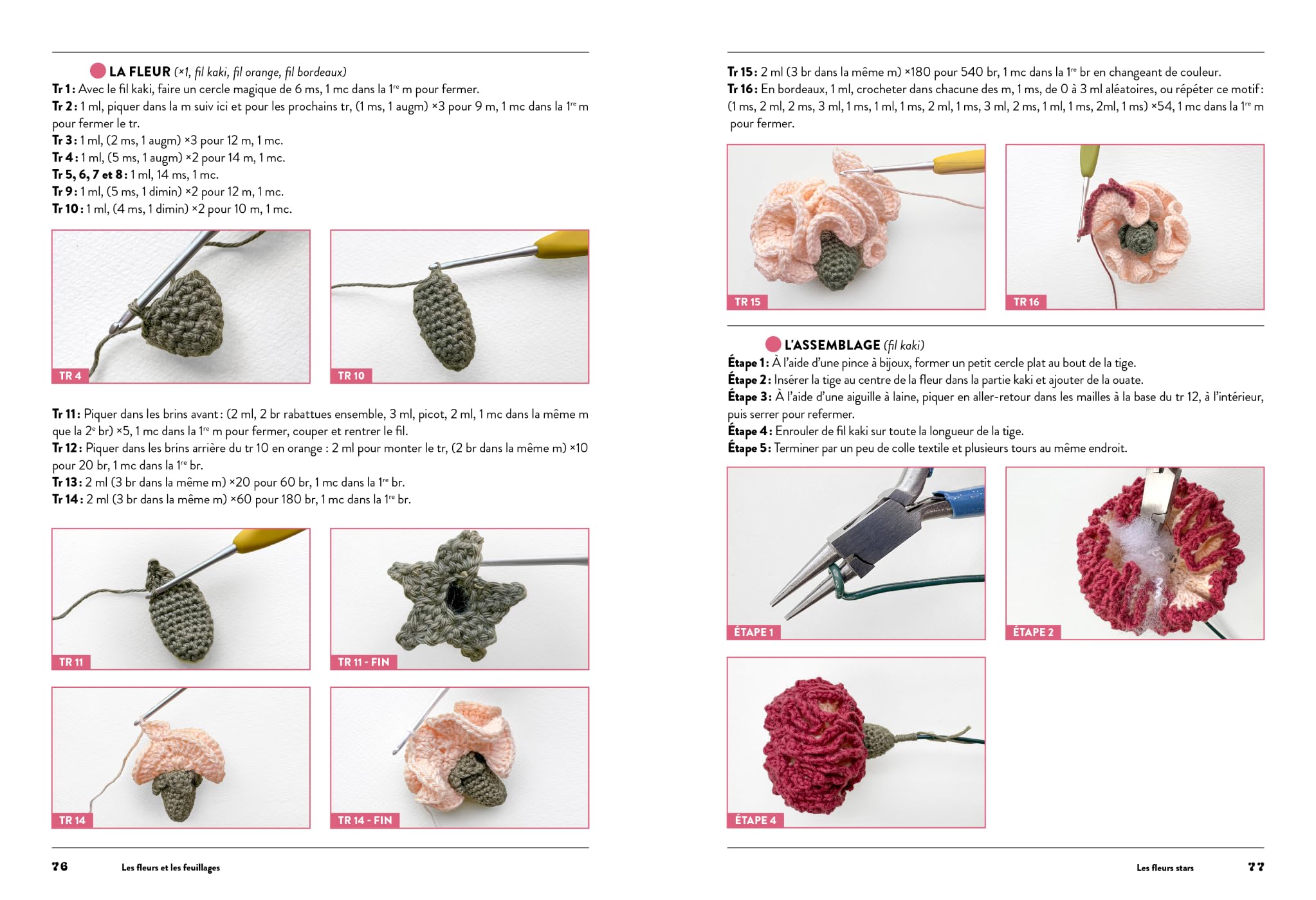 Mon bouquet au crochet: 25 fleurs à réaliser et à associer