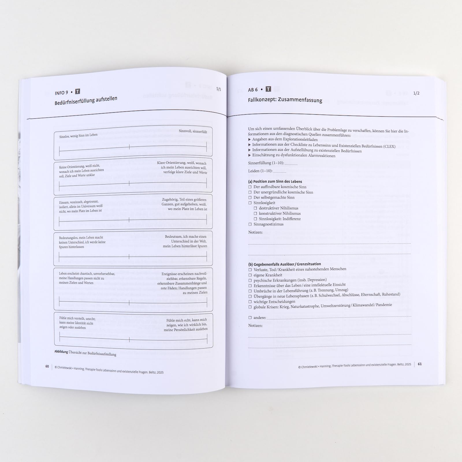 Therapie-Tools Lebenssinn und existenzielle Fragen: Mit E-Book inside und Arbeitsmaterial (Beltz Therapie-Tools)