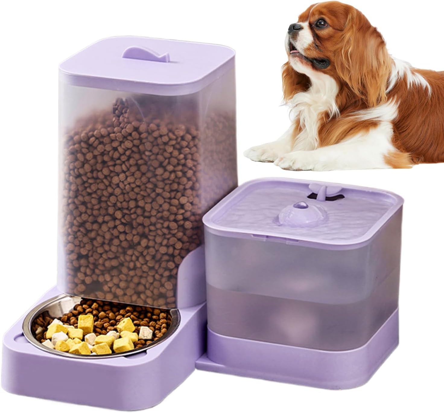 Automatic Pet Feeder Bowl, Cat Food Organizer Supply, Water Dispenser with Stainless Steel Container for Small Medium Large Breed Feeding Household Gear Reliable Daily Storage Accessories Organizer