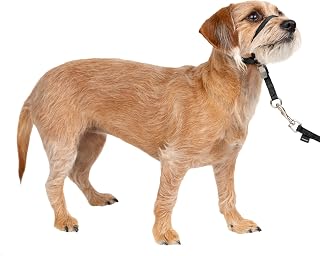 PetSafe ペットセーフ ジェントルリーダー ヘッドカラー クイックリリース（S ブラック）