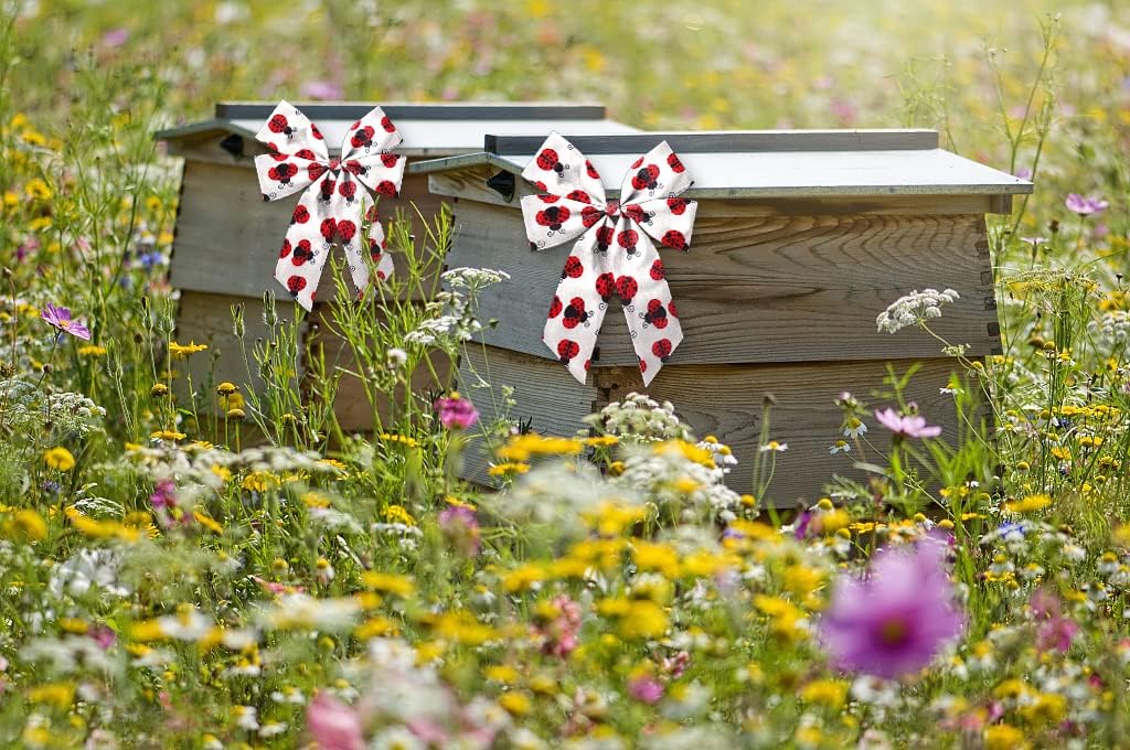Hying 2 Rolls Spring Ladybug Ribbon for Crafts Wreath Bows Gift Wrapping Lady Bug Wired Ribbon Red Polka Dot Ribbons for Home Birthday Party Decoration, 2.5" X 10 Yards