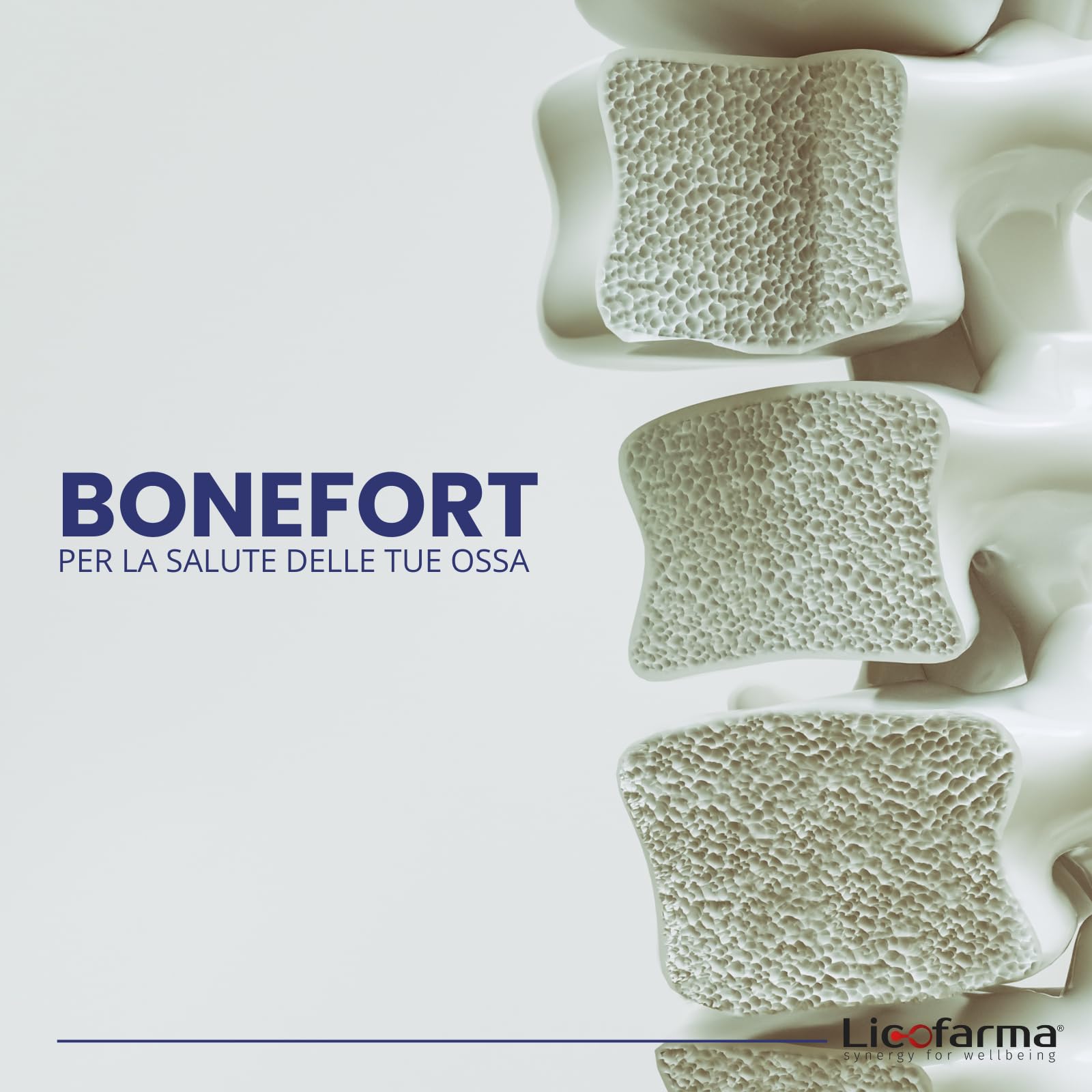 Bonefort Integratore Alimentare per il Benessere delle Ossa | Con Magnesio, Silicio e Vitamina K2 | Pilloliera da 120 capsule