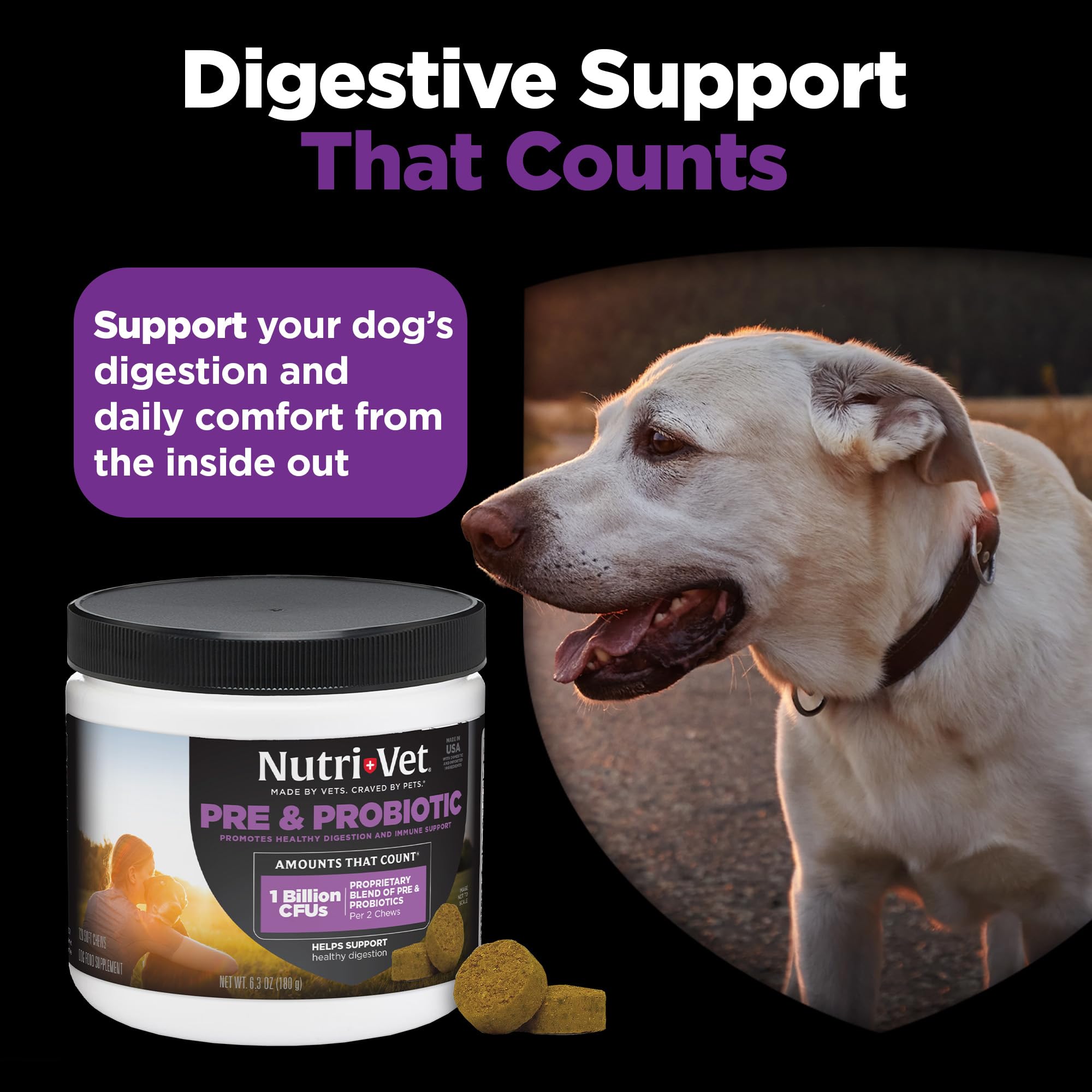 Nutri-Vet Pre & Probiotics for Dogs, Dog Probiotics, 120 Soft Chews — Amazon image 7