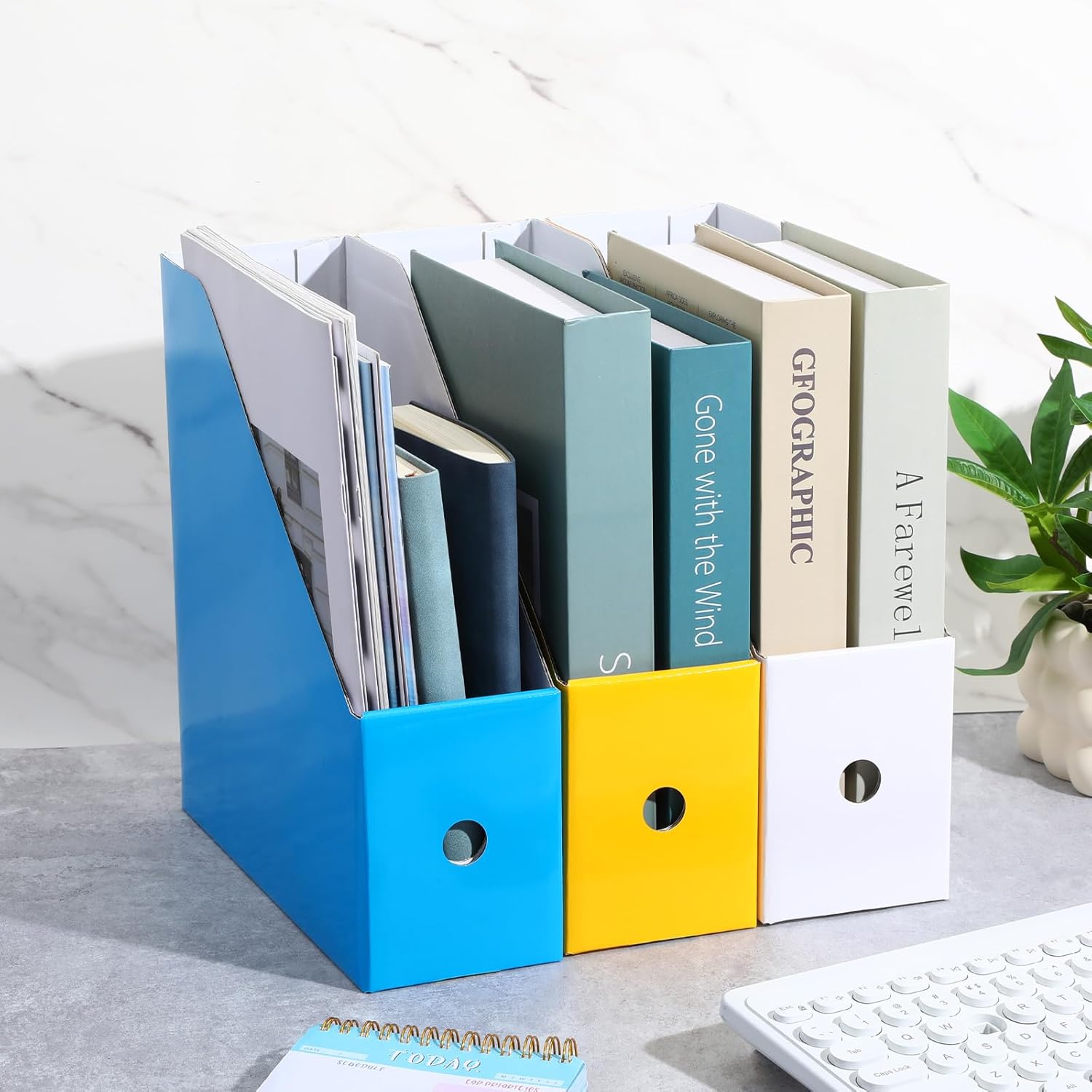 20 Pcs Cardboard Magazine File Holders Magazine Book Bin Box with Label Sticker Paper Organizer Storage Folder for Desk Shelves Classroom Office Supplies(5 Colors)