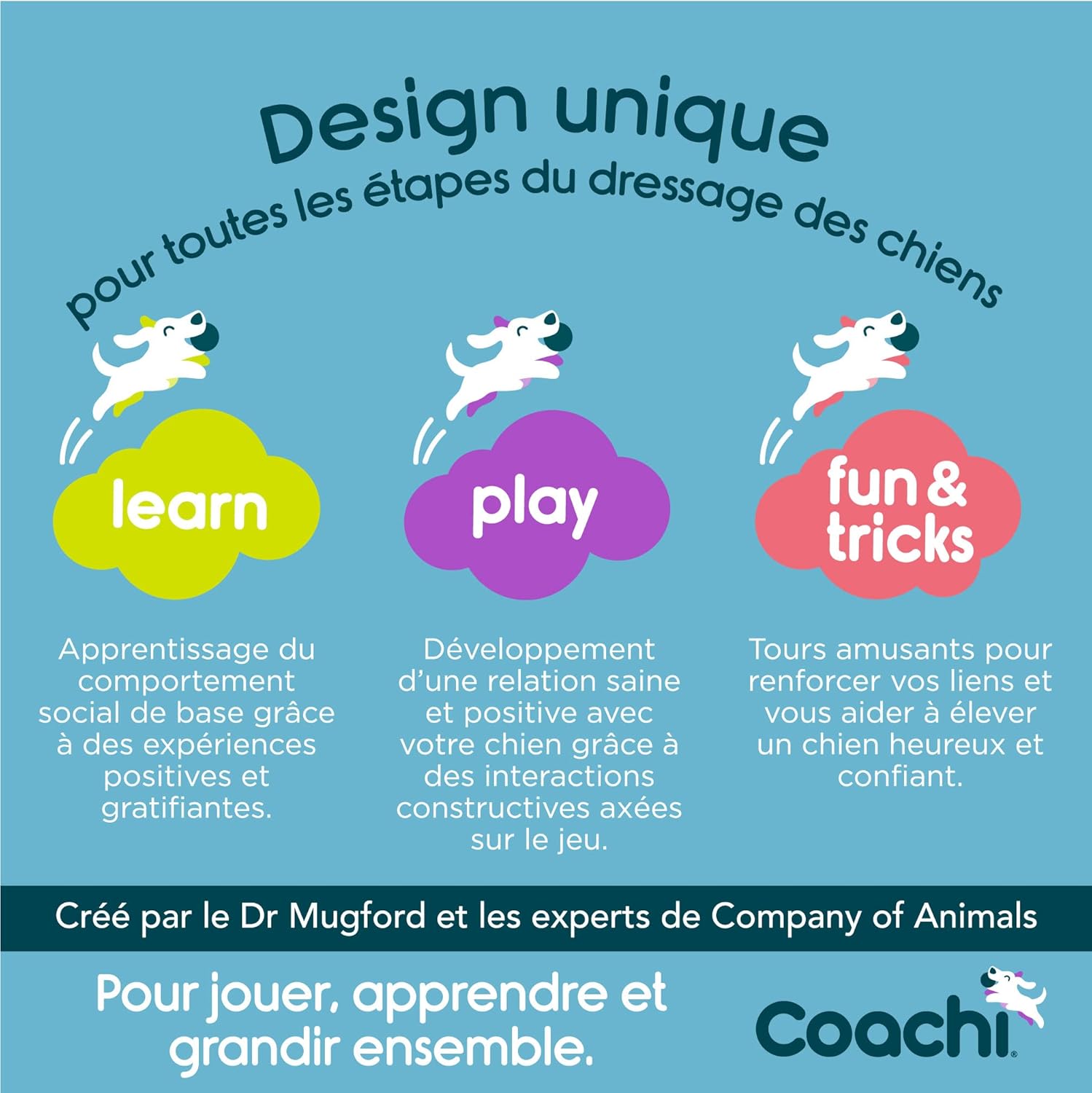 Utilisation conseillée de la Tuggi Ball Coachi