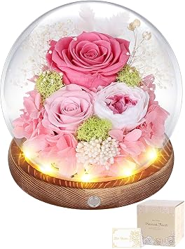 Preserved Flowers, Glass Dome, Pink, Non-Withering Flowers, Real Rose, LED Light, Arrangement, White Day, Return, Women, Popular, Flowers, Celebrations, Birthday Present