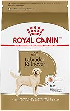 retriever hi protein dog food