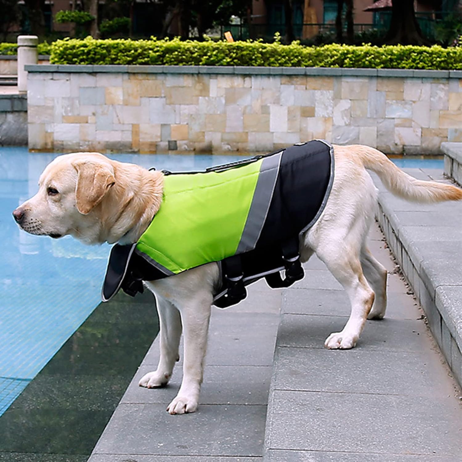 Dog Life Jacket with D Ring, Dog Life Vest with Chin Float, Dog Lifejacket with Buckles Swimming in Pool, Dog Float Coat for Small Medium Large Dogs