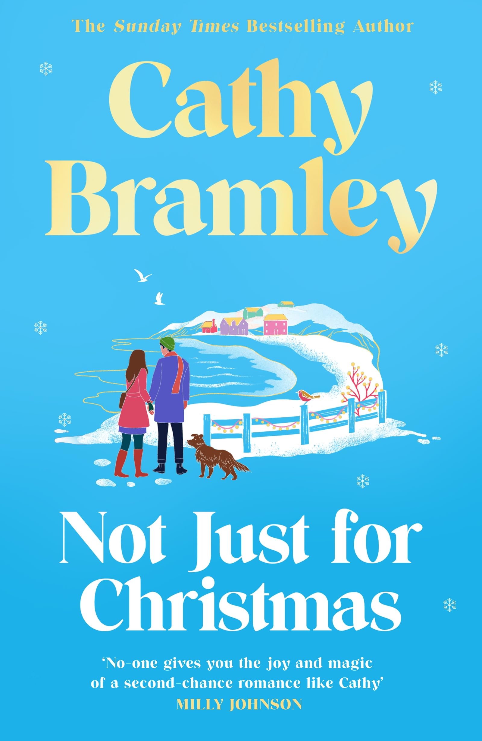 Not Just for Christmas: The must-read and utterly heartwarming festive romance coming this Christmas!