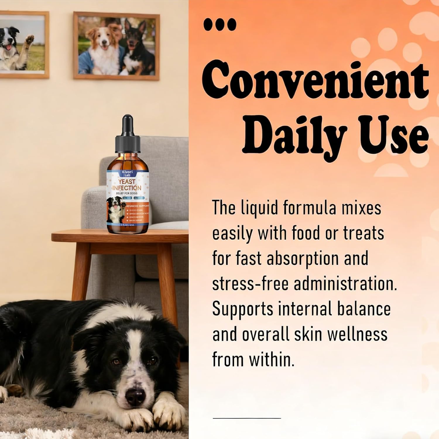 Yeast Infection Drops for Dog,Kivori Lab Anti Yeast Drops,Natural Herbal Dog Supplement Drop for All Ages and All Breeds,60ml Dropper Bottle (2PCS)