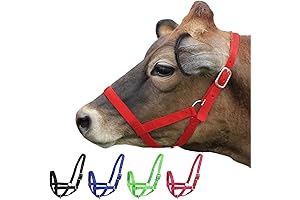 Versatile Cattle Management with Derby Originals Adjustable Nylon Livestock Halters