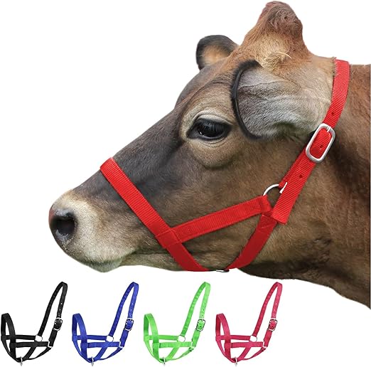 Derby Originals Adjustable Nylon Livestock Cattle Halters
