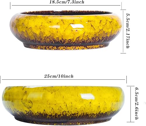 Miniatura 12 de ARTKETTY Macetas para suculentas con drenaje, maceta grande para suculentas con soporte y platillo, macetas poco profundas para bonsái de cerámica