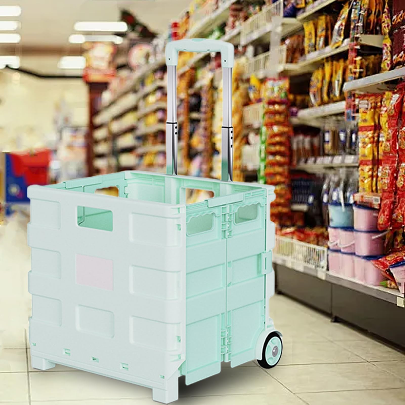 Carrello della Spesa con Ruote Capienza Grande e Portatile | Cesto di Archiviazione Portatile per lo Shopping Per Casa Esterno Giardino Cortile Spiaggia Campeggio Pesca Picnic Viaggio