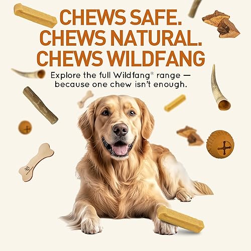 Miniatura 7 de Wildfang Yak Cheese Dog Chews - Palitos duros de churpi del Himalaya  Golosinas dentales naturales para perros  Paquete de 1, tamaño S (1.231.55 oz