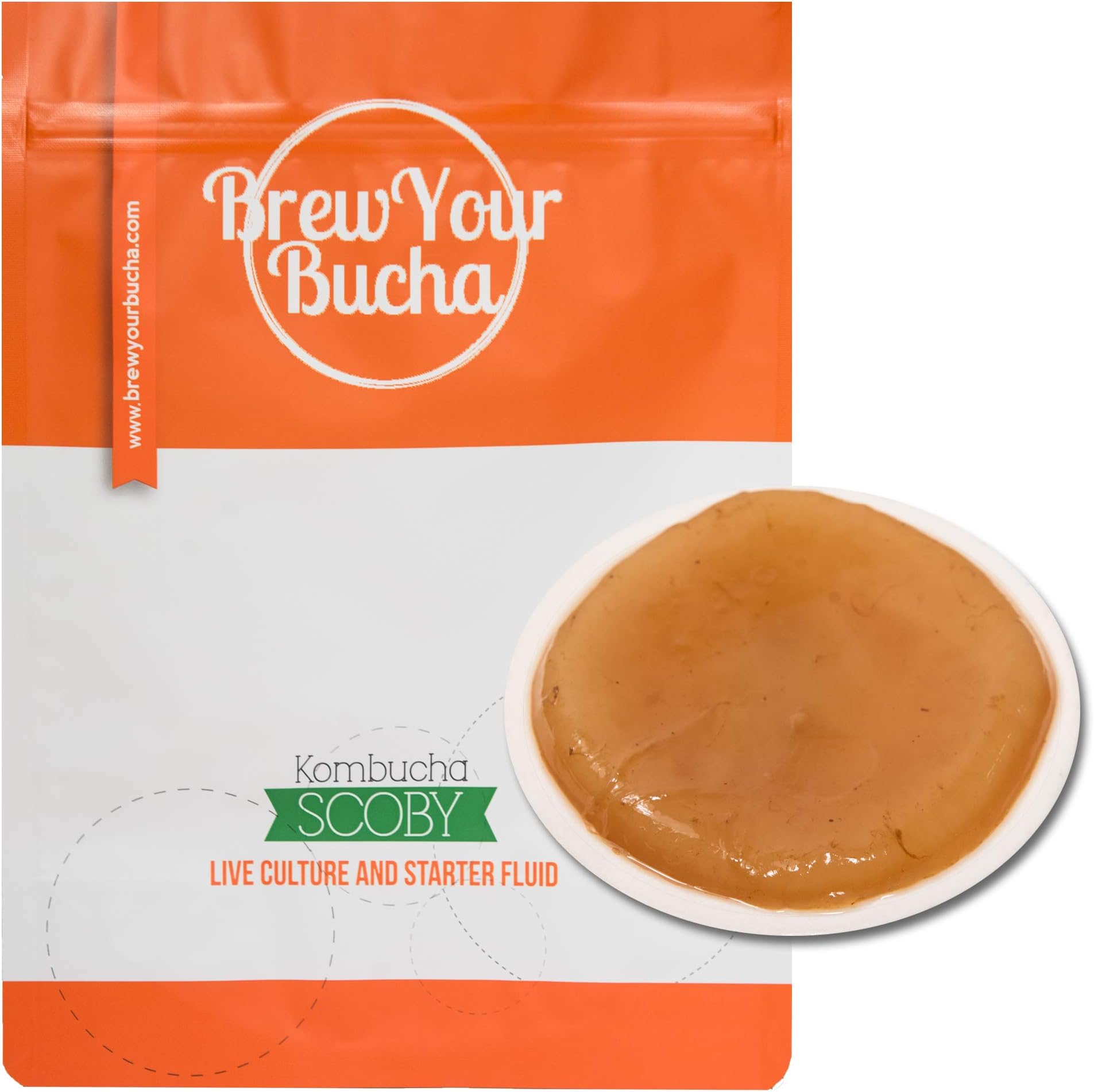 Brew Your Bucha Kombucha Tea SCOBY with starter fluid. SCOBY grown with our premium hand-selected black Yunnan Gold Tea