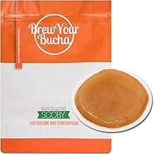 Brew Your Bucha Kombucha Scoby with Starter Fluid | Kombucha Starter Kit with Scoby, Live Culture, Scoby Kombucha Starter, Kombucha Kit, DIY Kombucha Brewing Kit Scoby Kombucha Starter Prime (1-Pack)