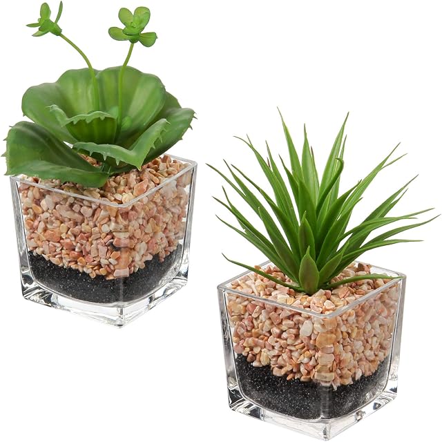 2 Pcs Small Plants Artificial Plant in Pots, 7x15cm Fake Succulent Plants Potted, Faux Succulent Plants Cute for Home, Office, Table, Desk, Bedroom, Bathroom Decor