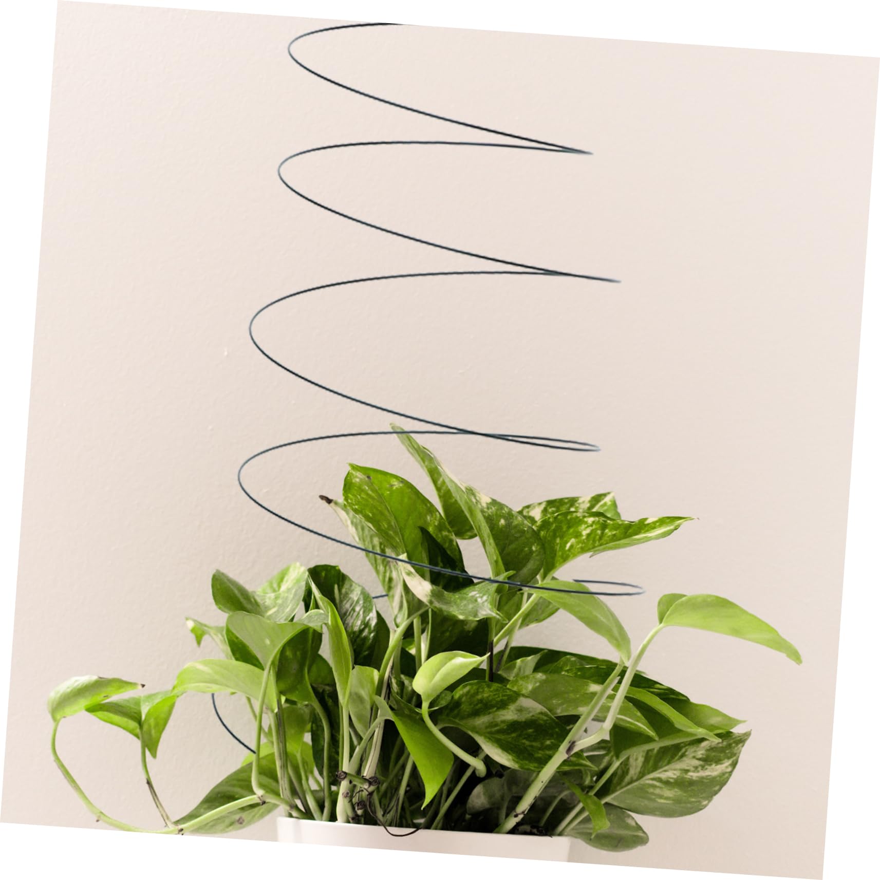 TOYANDONA Lot de 2 Tuteurs à Plantes en Spirale en Acier Inoxydable, Support Végétal Réutilisable et Robuste pour Jardin, pour Tomates et Vignes