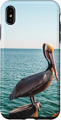 Vista 22 de iPhone 11 Pelican Case