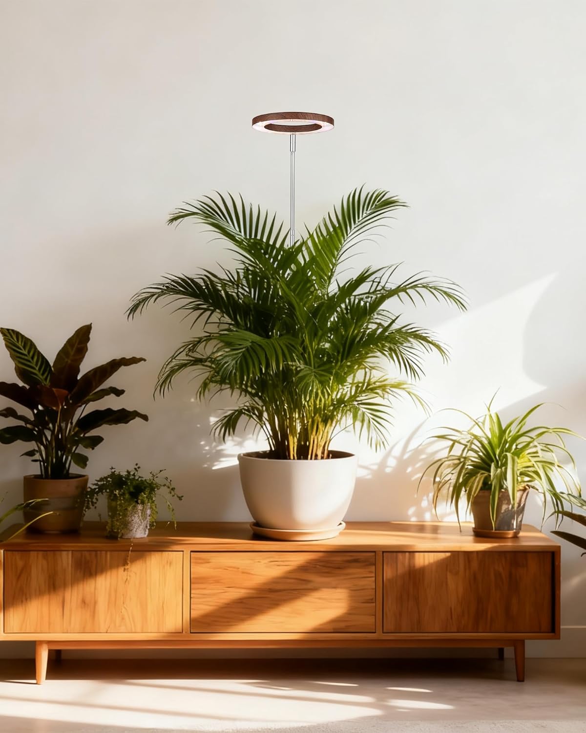 yadoker Grow Light for Large Indoor Plants, Full Spectrum LED Plant Light, Height Adjustable for Tall Plants, Auto On/Off Timer, 5V Safe Low Voltage Walnut Grain Grow Lamp for Home & Office