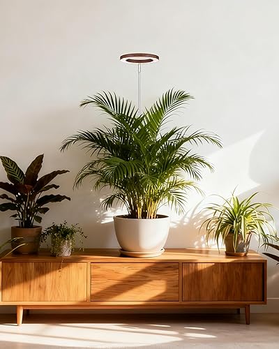 Miniatura 22 de yadoker Luz de cultivo de plantas, luz LED de espectro completo para plantas de interior, altura ajustable, temporizador automático, bajo voltaje