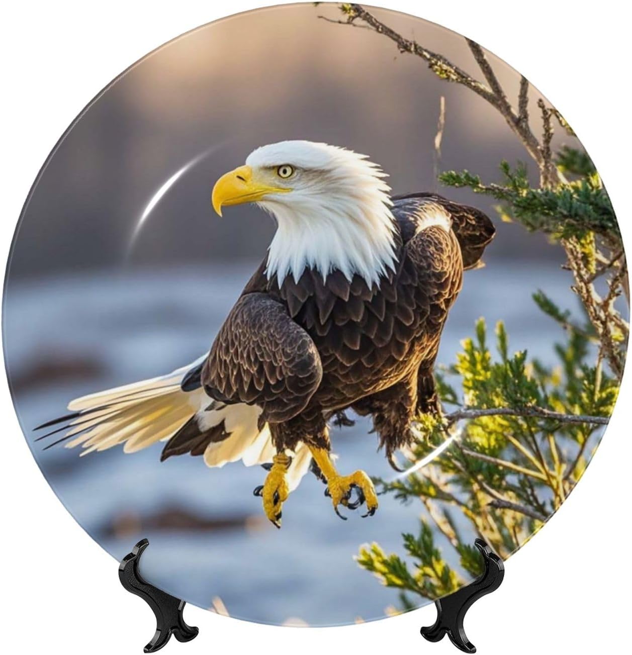 Bone China Decorative Plate with Display American Bald Eagle Ceramic Plates Crafts Art Decor Dessert Plate Ceramic Ornament Porcelain Plates for Living Room Kitchen Table Home Decor
