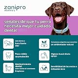 Ver la foto 6