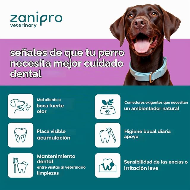Foto 6 de 8 de Zanipro - Polvo Dental para Perros y Gatos