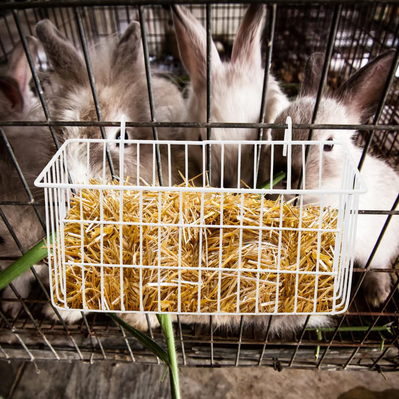 INOOMP Mangeoire à foin pour lapin, mangeoire à lapin, bac à herbe pratique pour chevaux, mangeoire à lapin, cochon d'Inde, panier de rangement en fer forgé blanc
