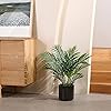 Product Photo 6